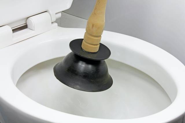 nsplash