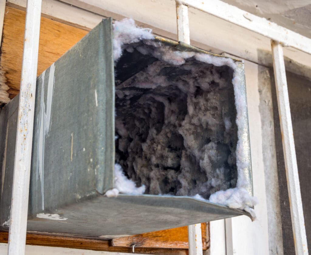 Old air duct filled with mold, dust, and dirt